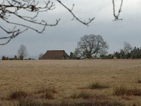 D, Niedersachsen, Bispingen,  Luneburger Heide 1, Saxifraga-Bas Klaver